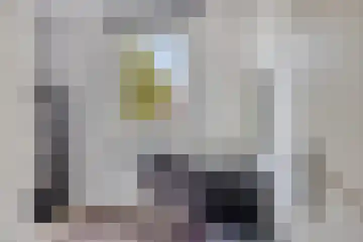 Dieterderweg 68 Susteren thumbnail 20