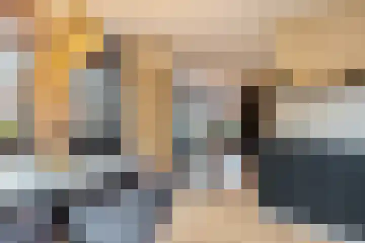 Dieterderweg 68 Susteren thumbnail 8