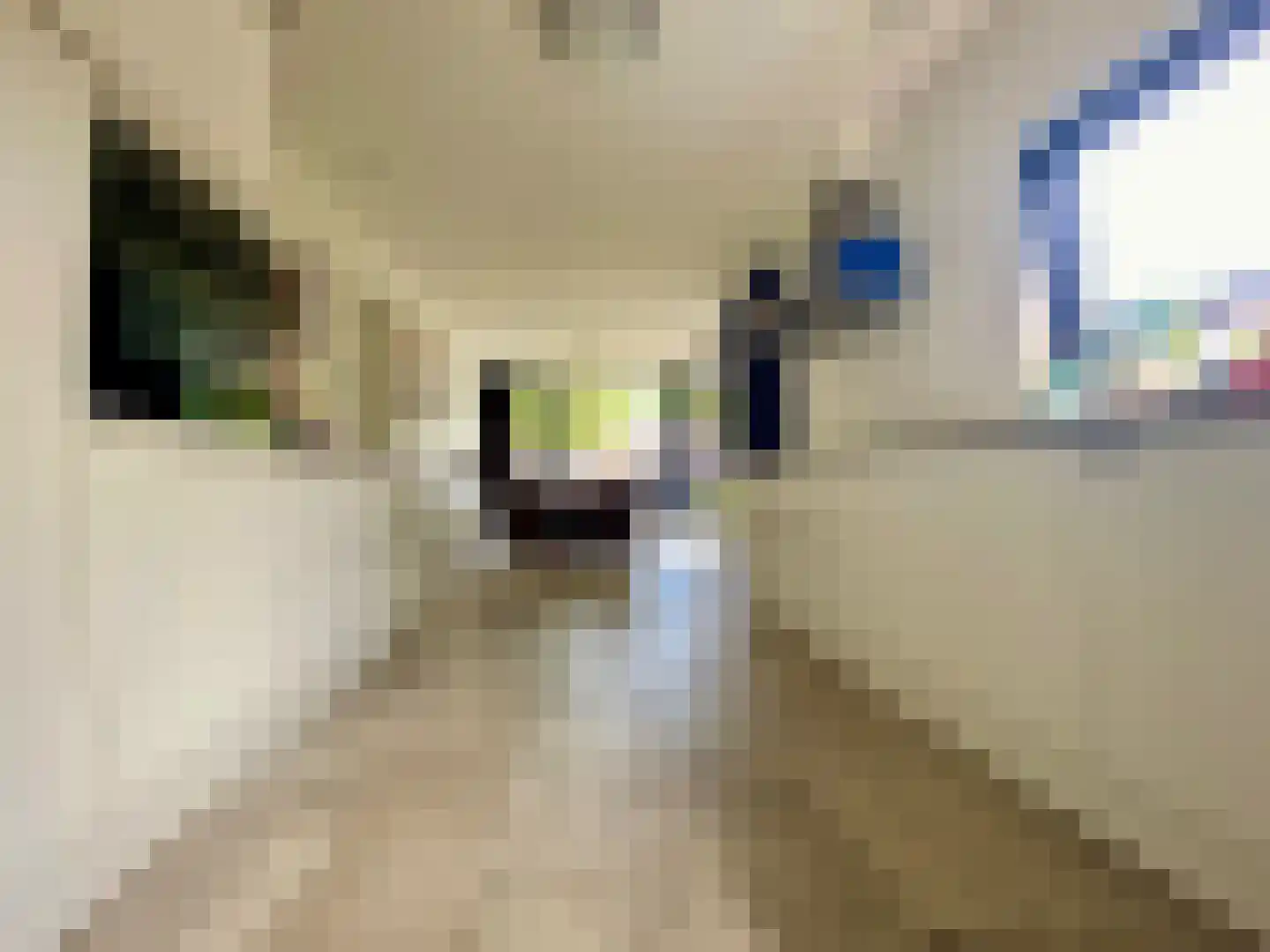 Dieterderweg 74 Susteren thumbnail 12