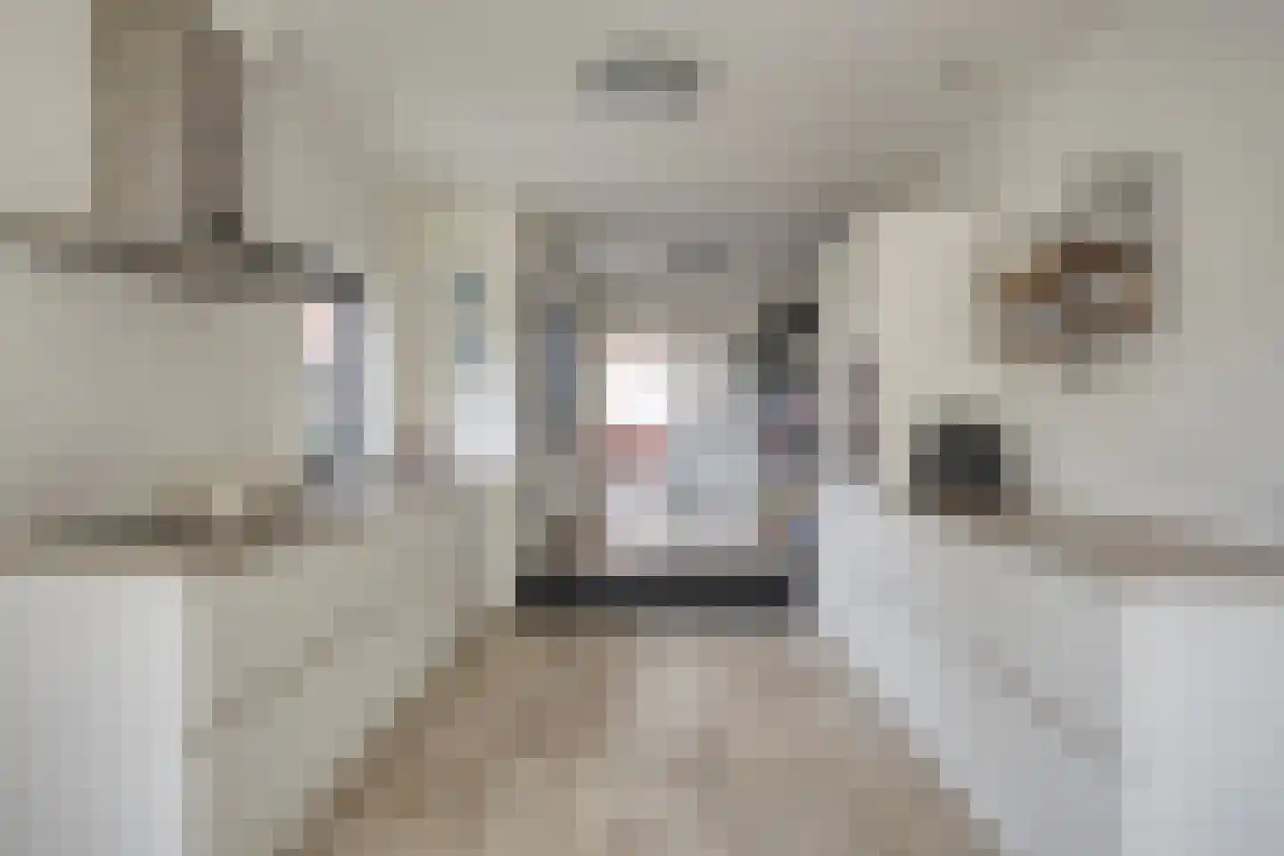 Dieterderweg 74 Susteren thumbnail 14