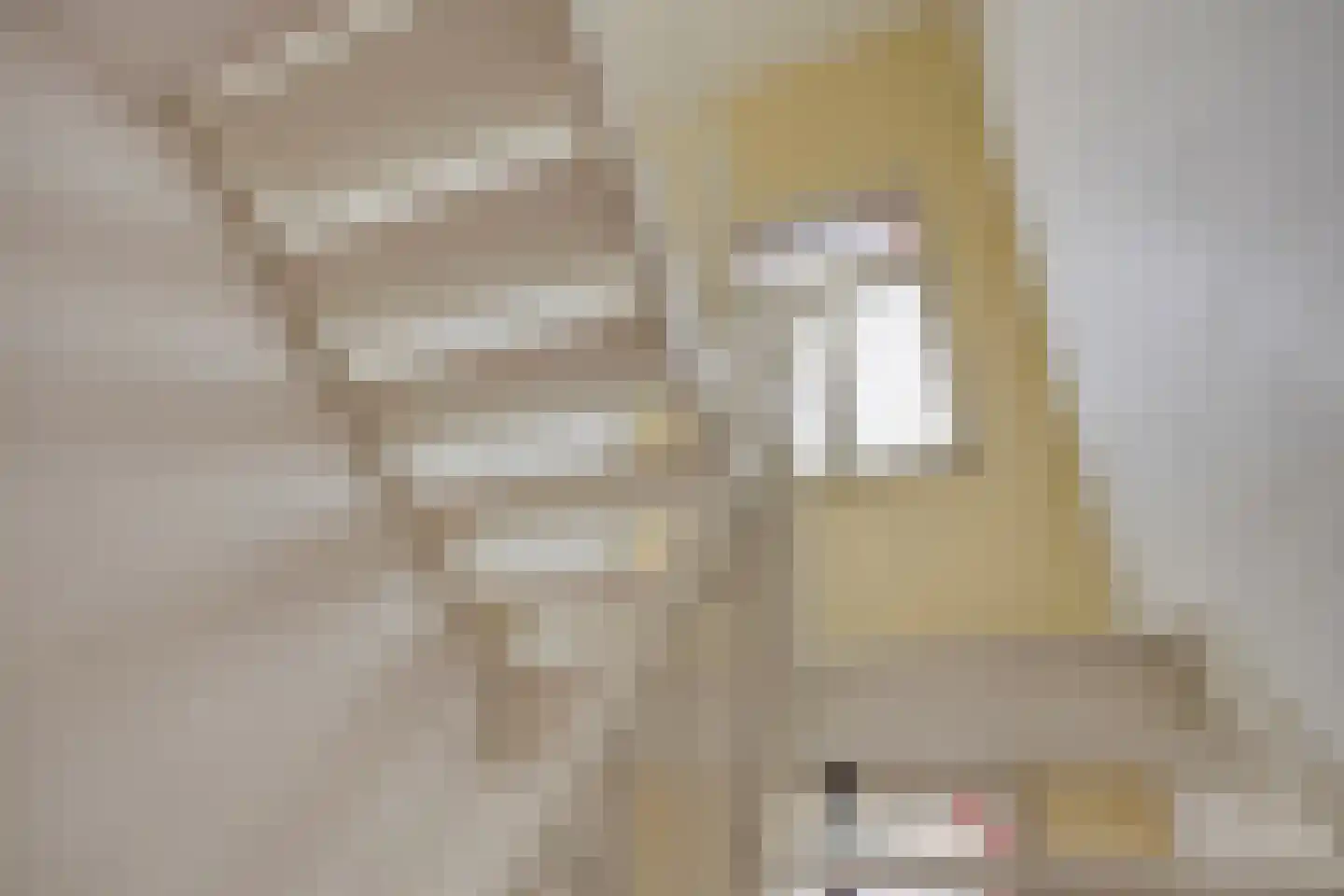 Dieterderweg 74 Susteren thumbnail 31