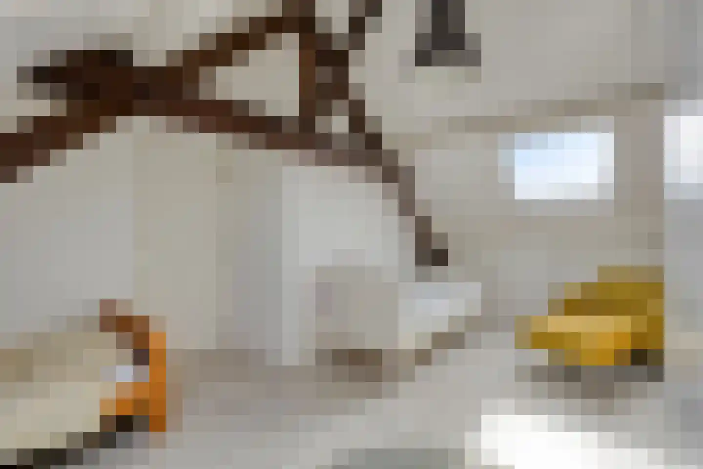 Dieterderweg 74 Susteren thumbnail 32