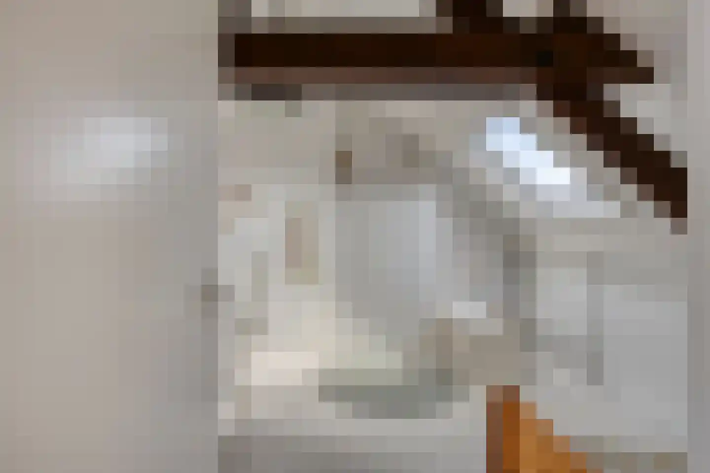 Dieterderweg 74 Susteren thumbnail 33