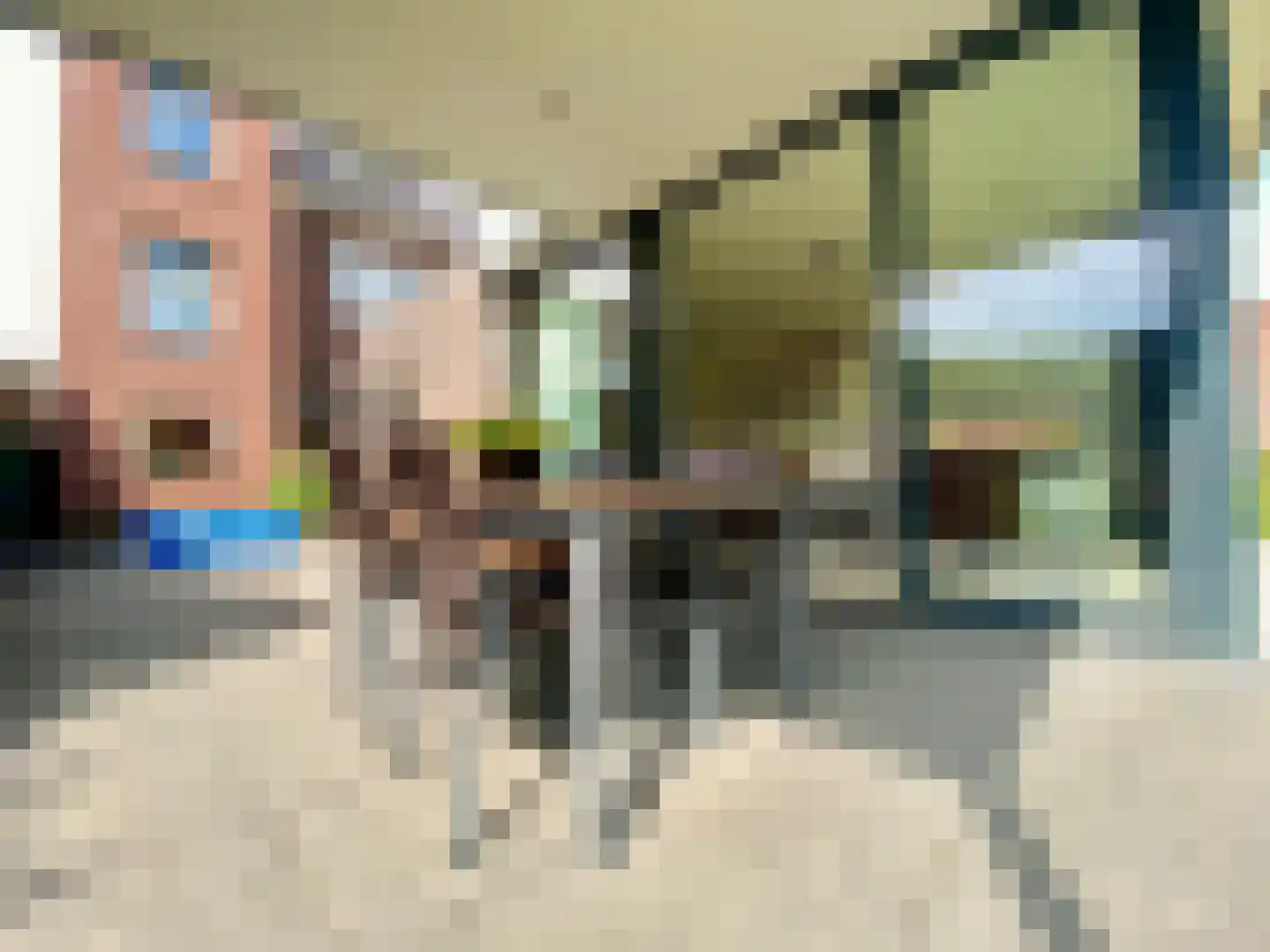 Dieterderweg 74 Susteren thumbnail 35