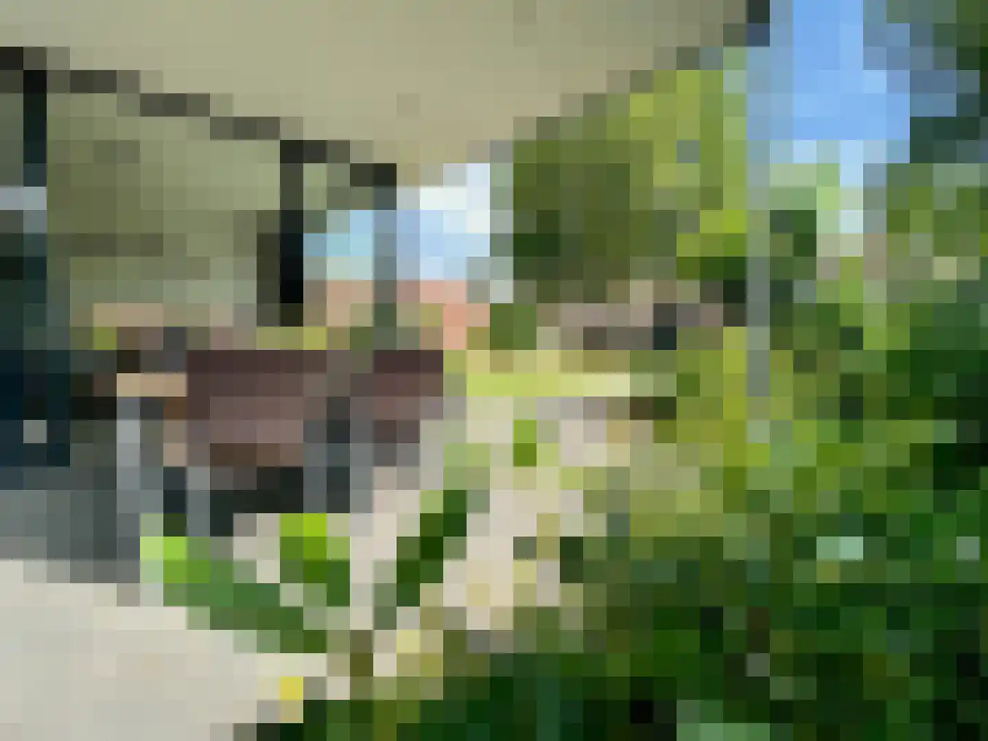Dieterderweg 74 Susteren thumbnail 36