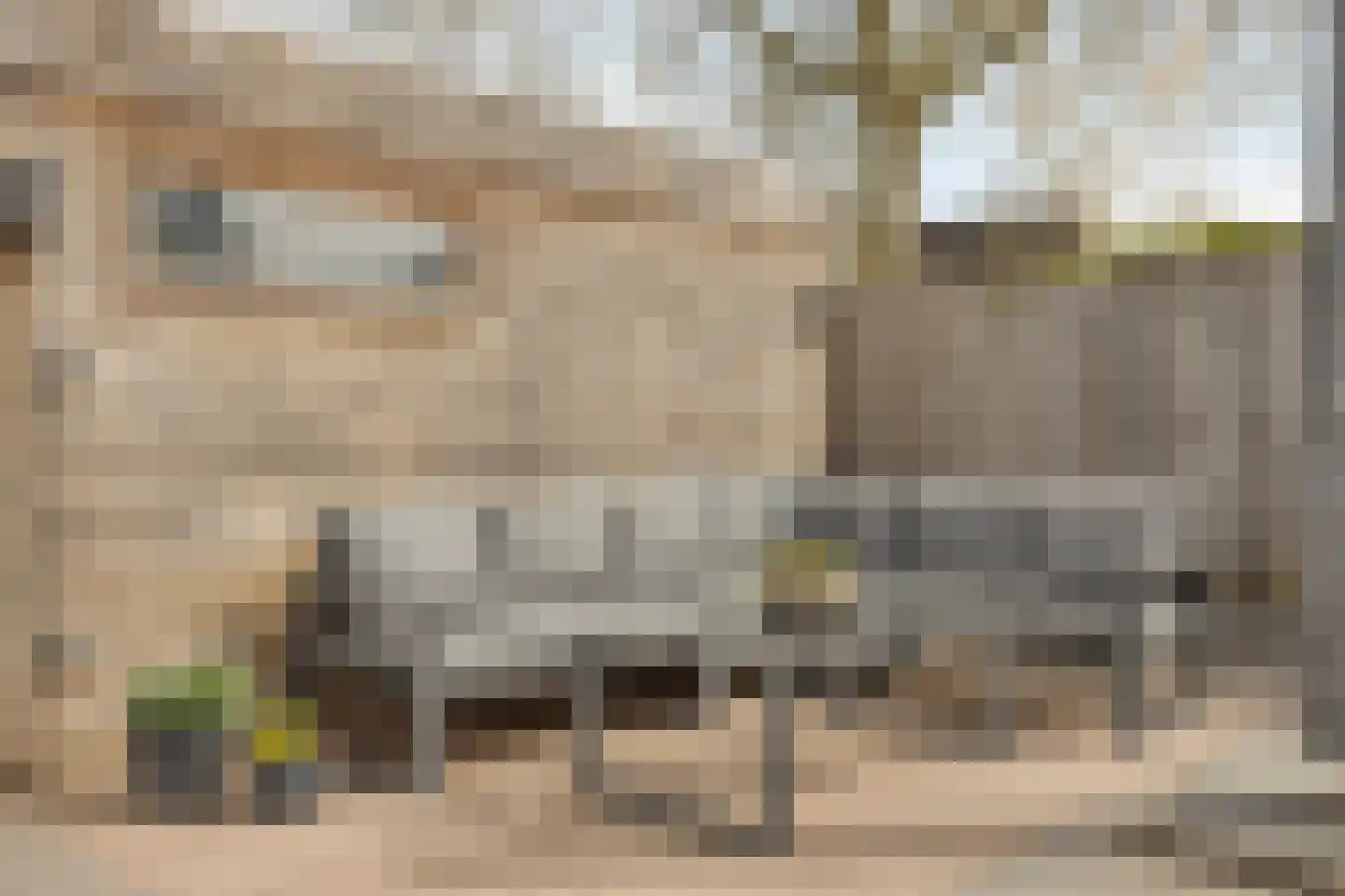 Dieterderweg 74 Susteren thumbnail 39
