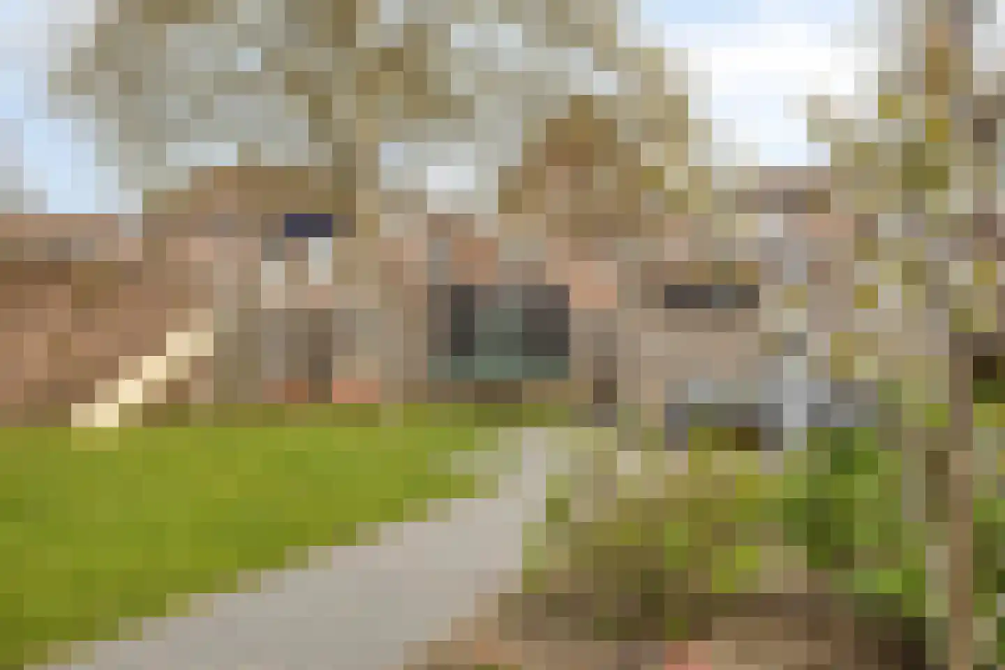 Dieterderweg 74 Susteren thumbnail 40