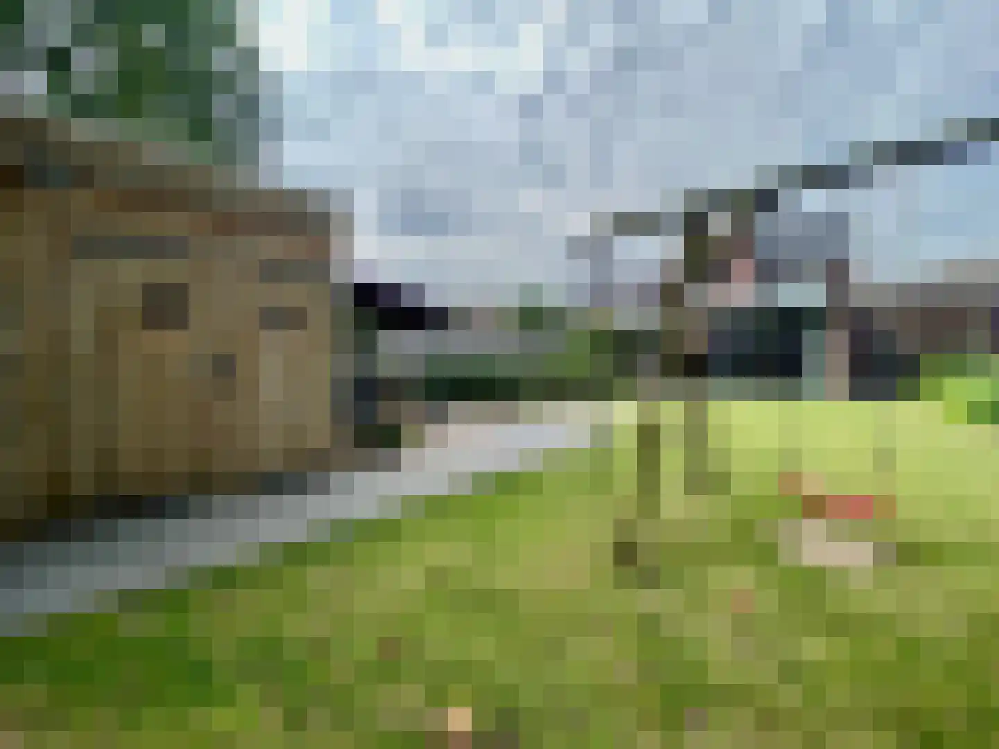 Dieterderweg 74 Susteren thumbnail 41