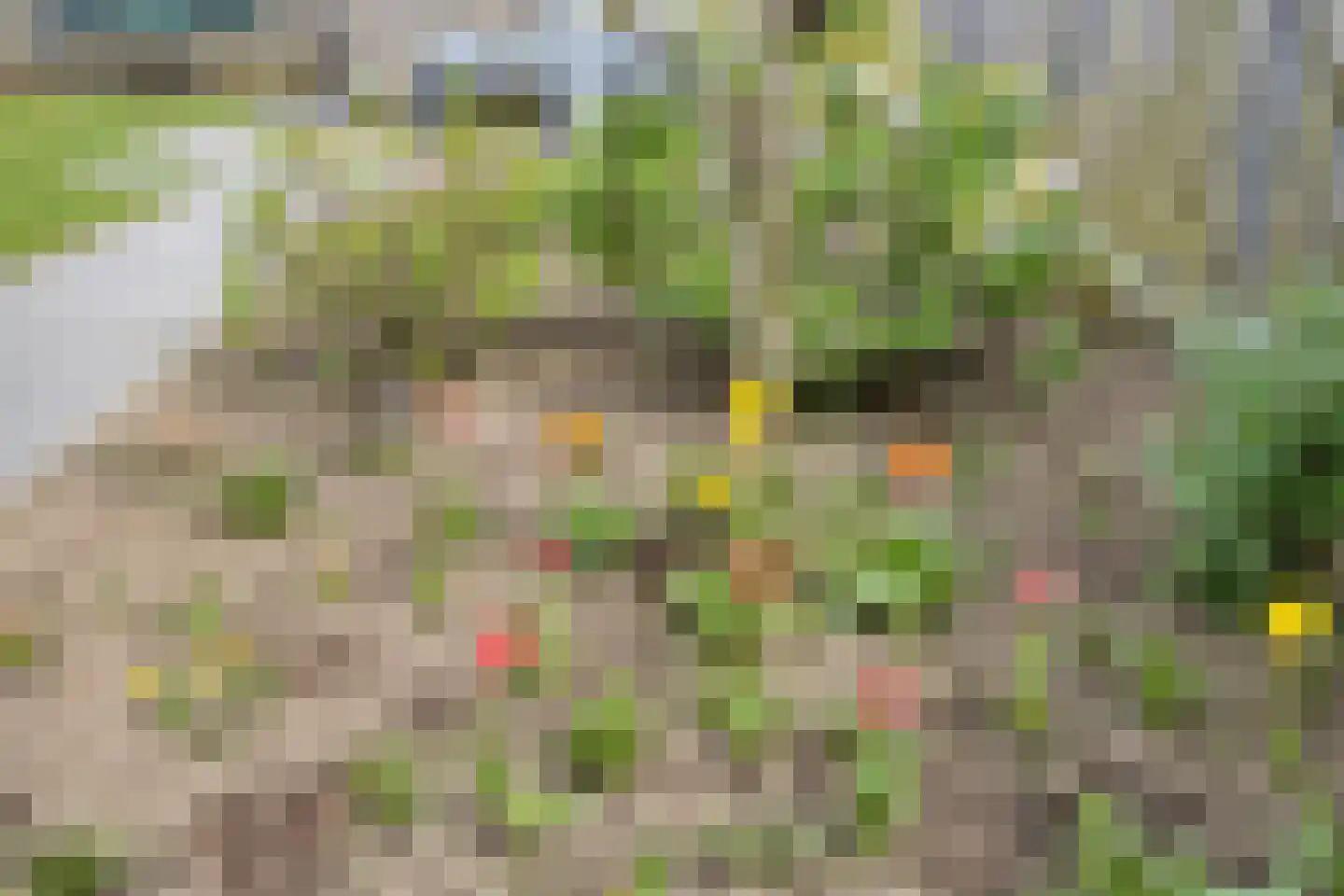 Dieterderweg 74 Susteren thumbnail 42