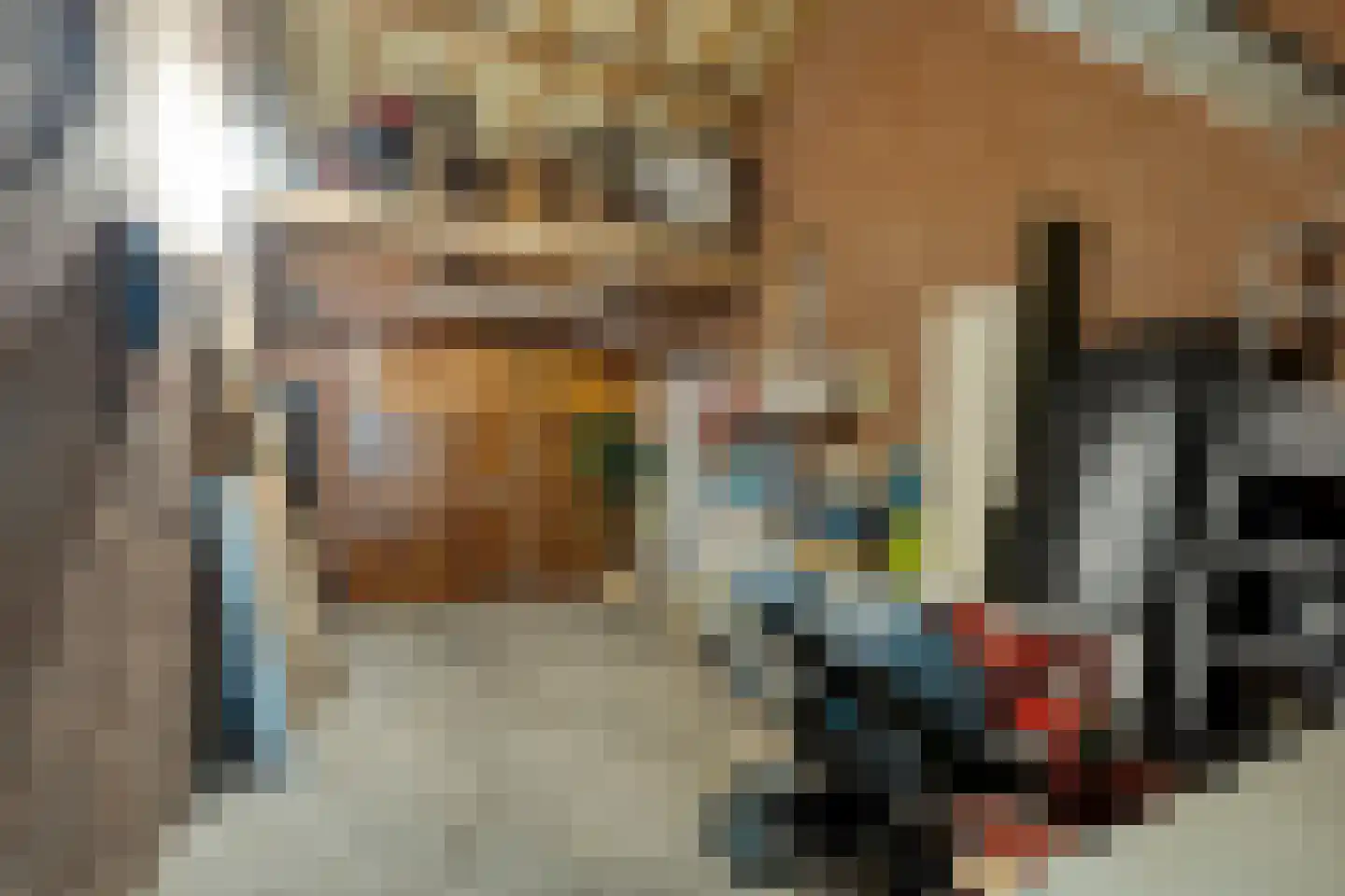 Dieterderweg 74 Susteren thumbnail 48