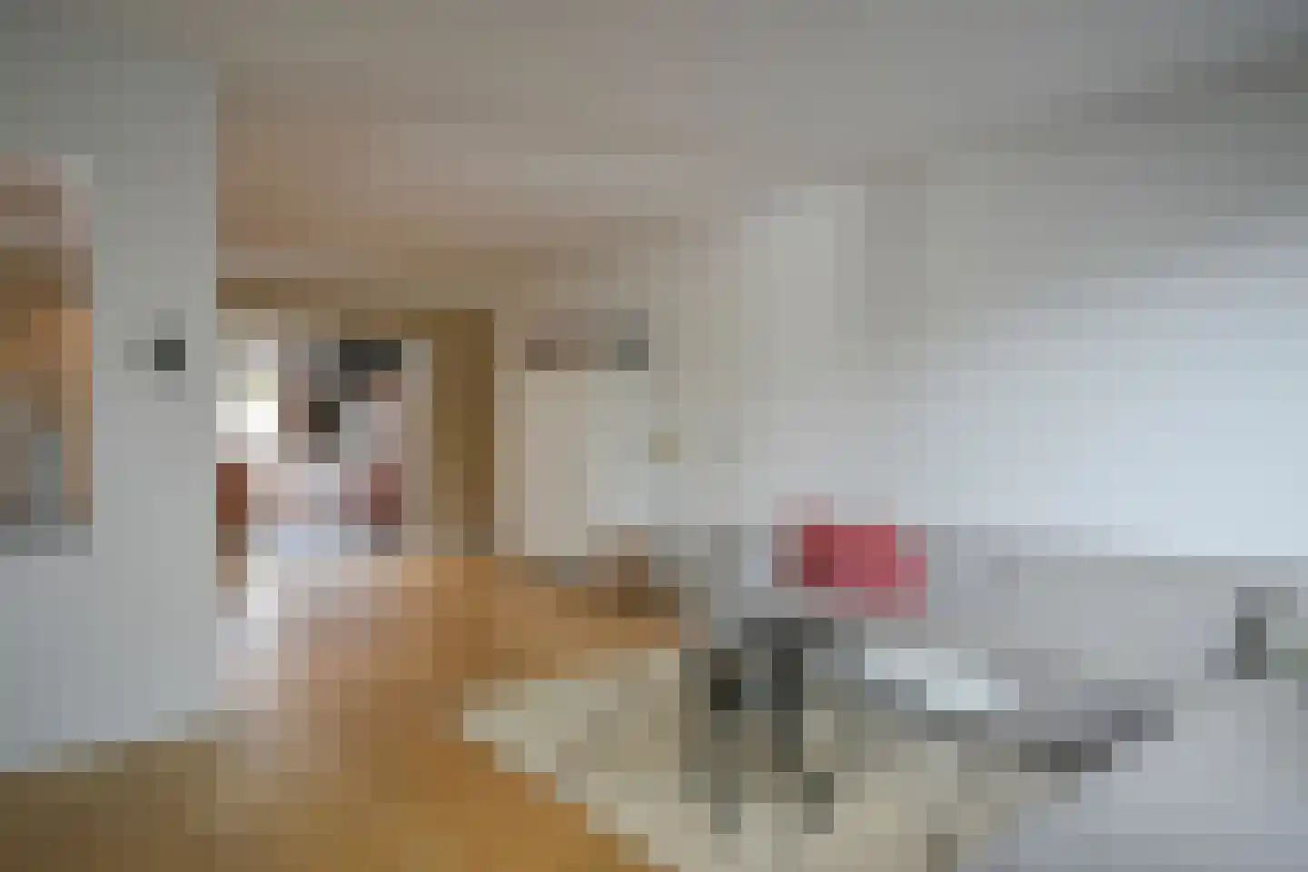 Dieterderweg 75 Susteren thumbnail 13