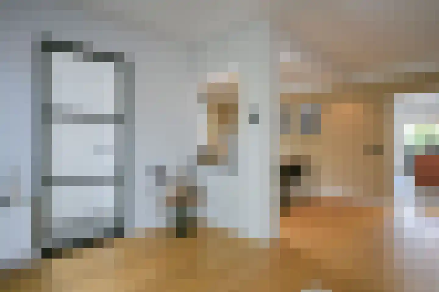 Dieterderweg 75 Susteren thumbnail 14