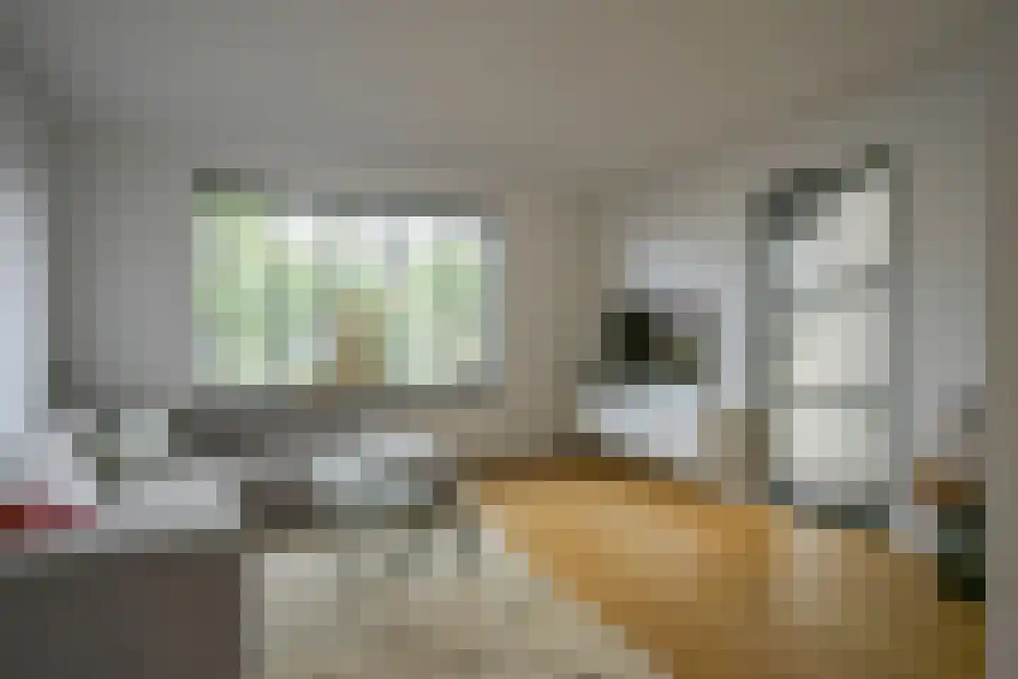 Dieterderweg 75 Susteren thumbnail 17
