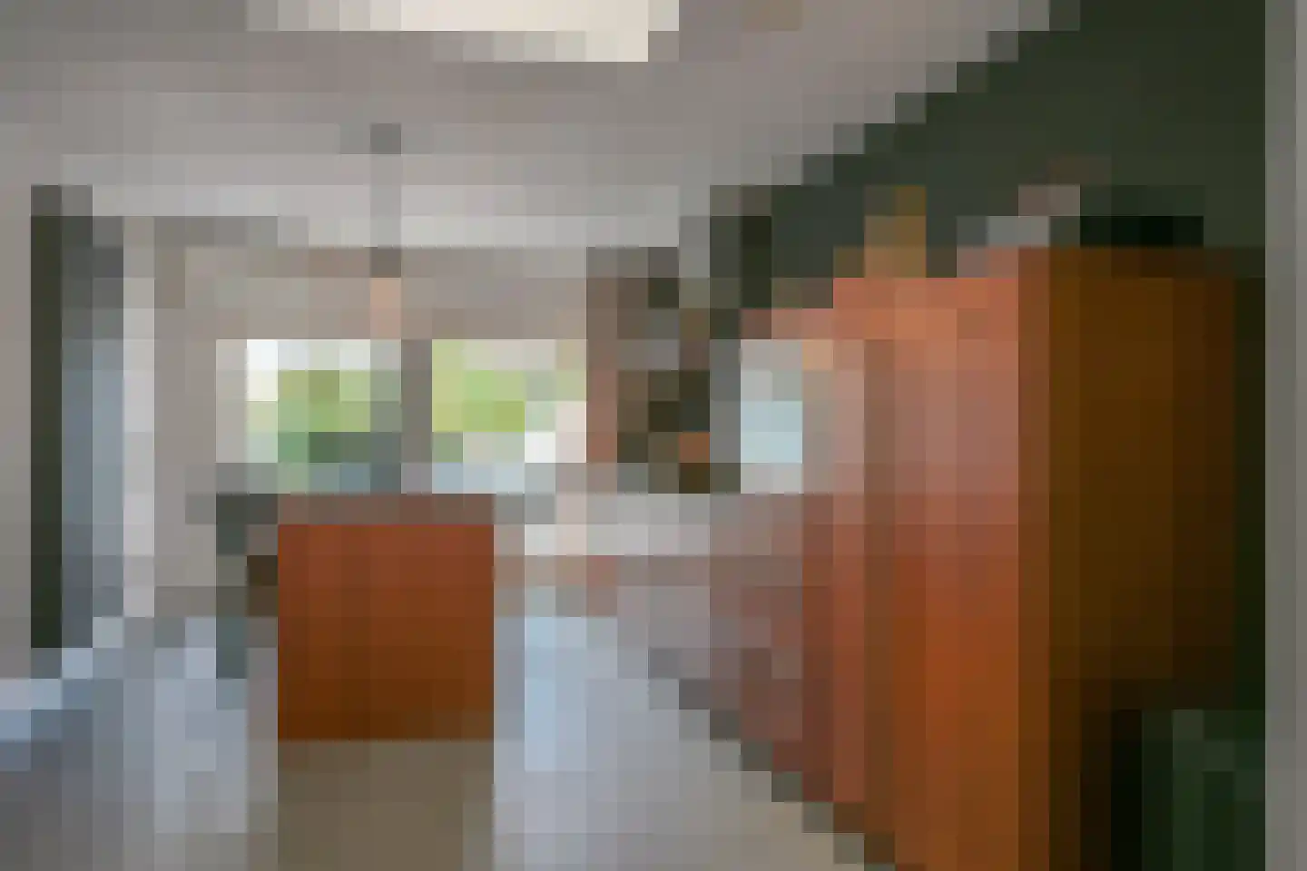 Dieterderweg 75 Susteren thumbnail 20