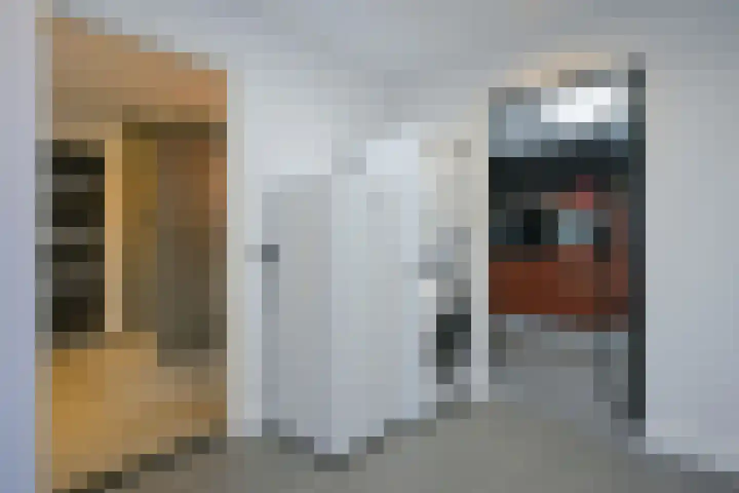 Dieterderweg 75 Susteren thumbnail 23