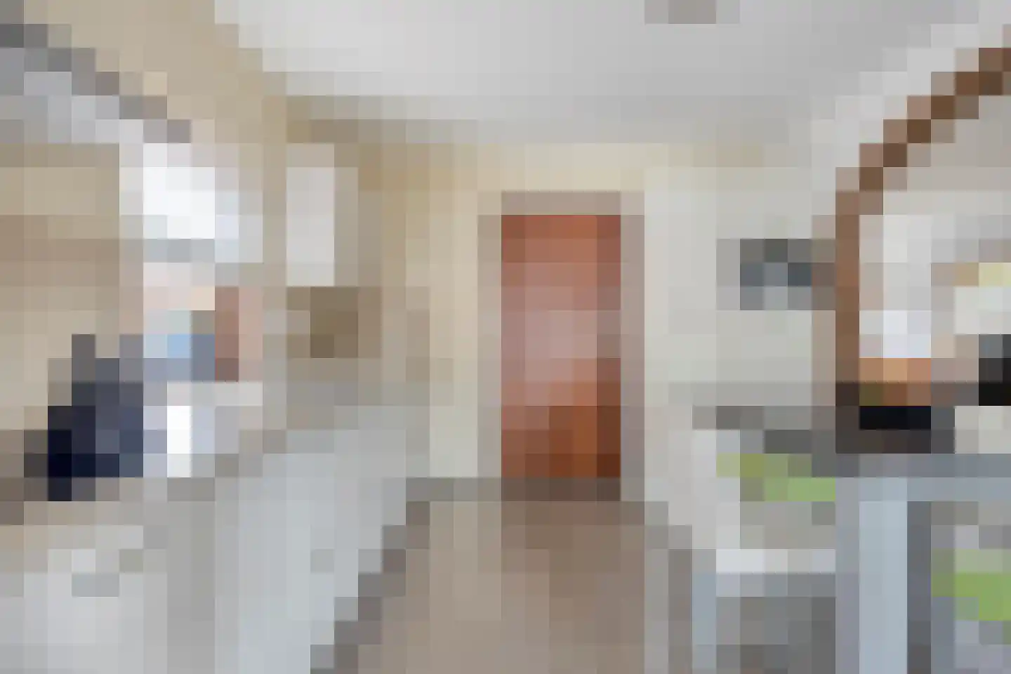 Dieterderweg 80 Susteren thumbnail 12