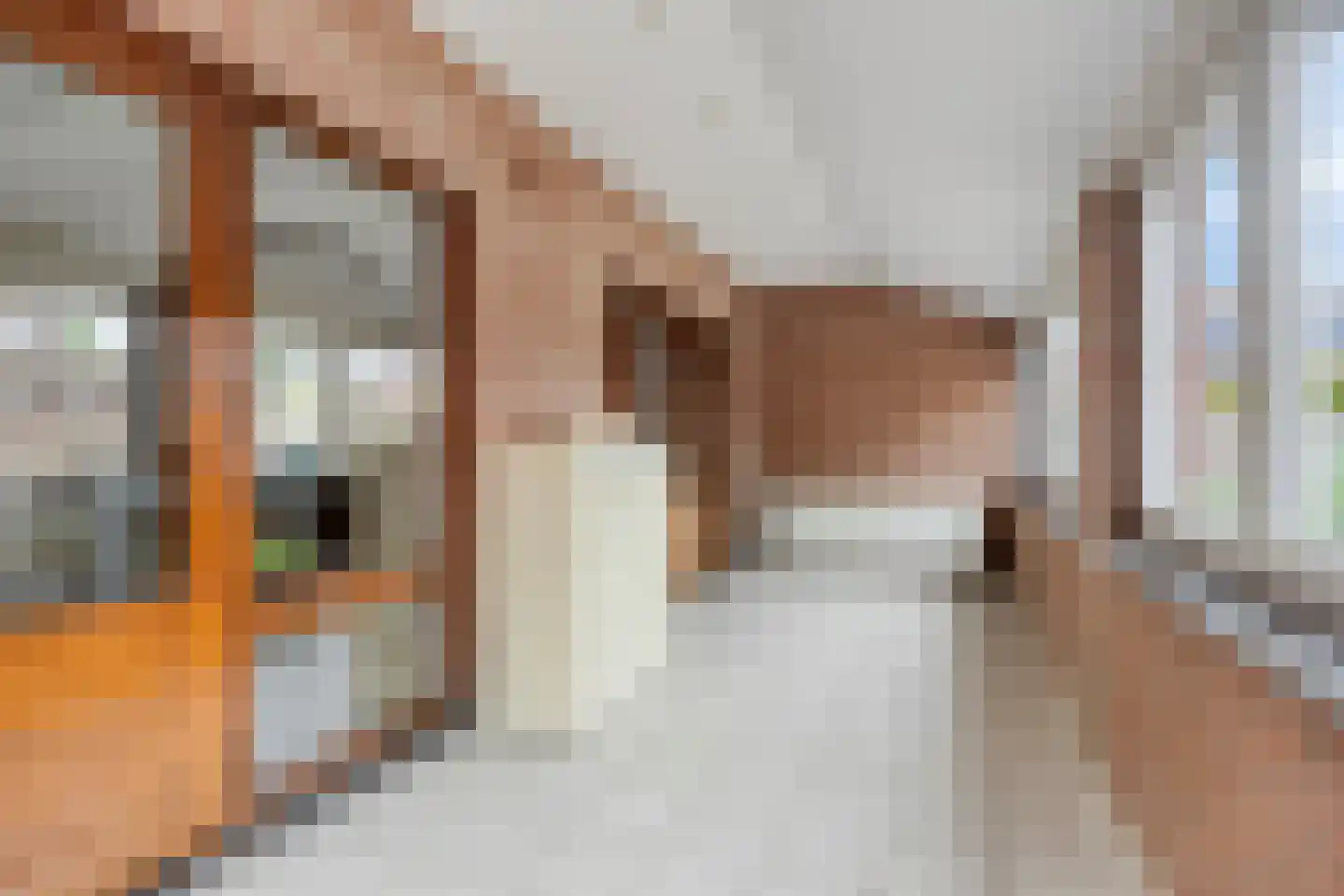 Dieterderweg 80 Susteren thumbnail 16