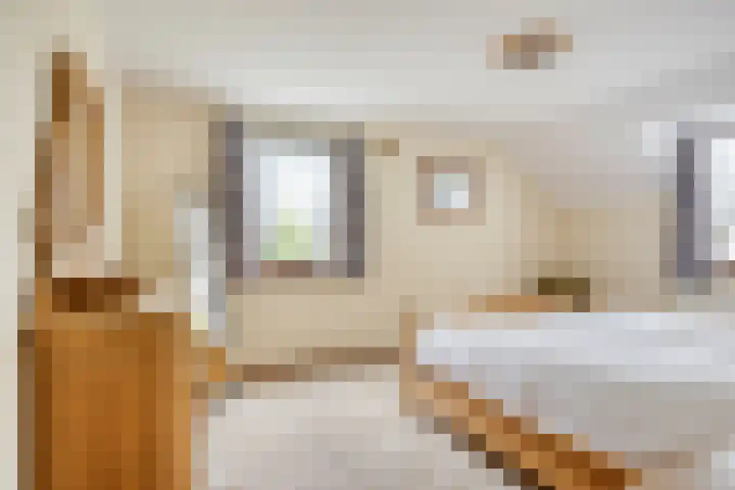 Dieterderweg 80 Susteren thumbnail 22