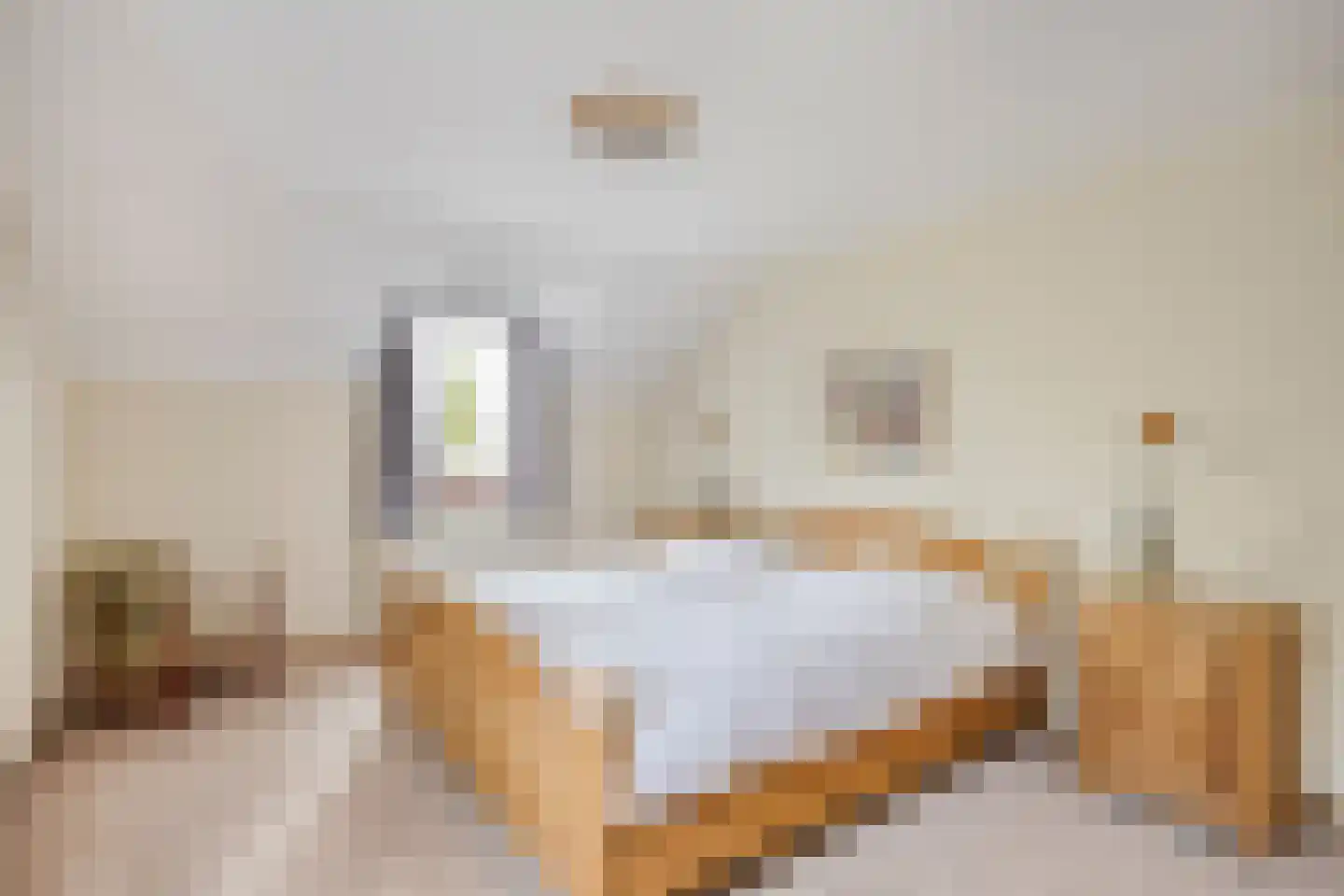 Dieterderweg 80 Susteren thumbnail 23