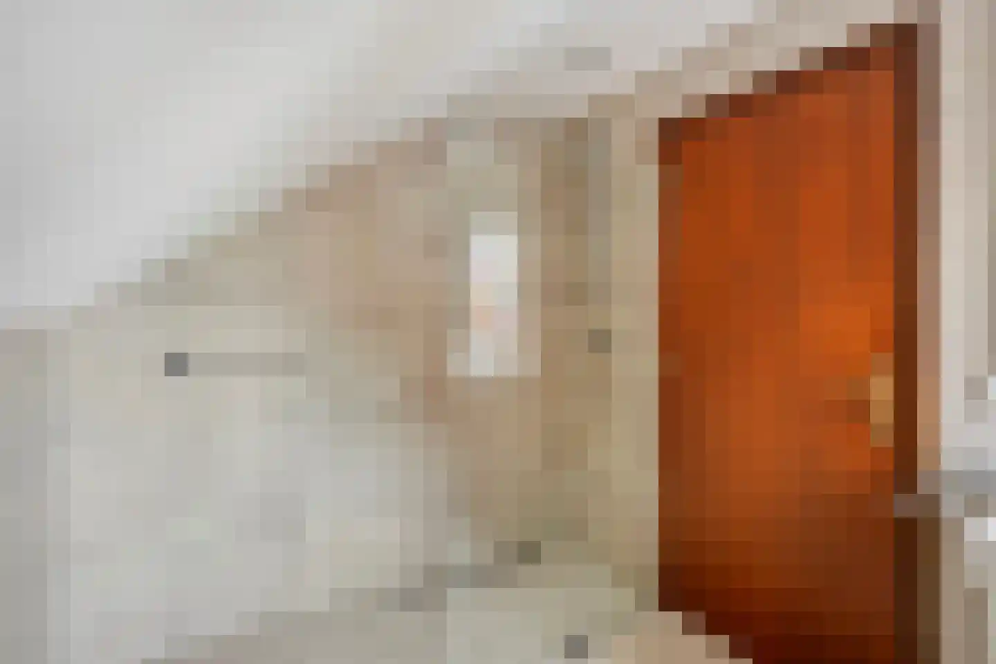 Dieterderweg 80 Susteren thumbnail 28