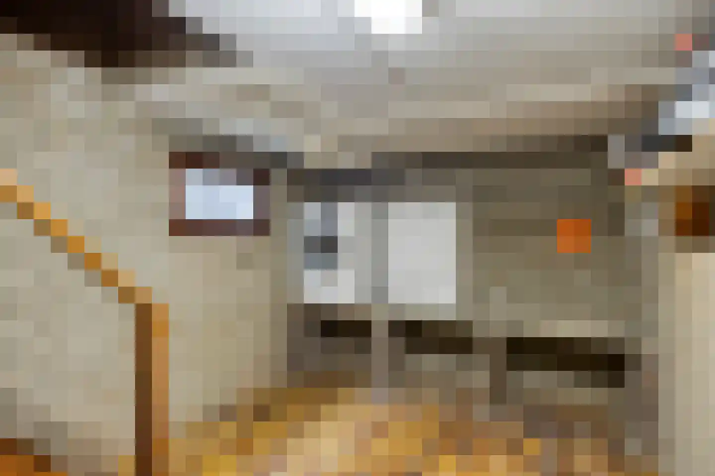 Dieterderweg 80 Susteren thumbnail 31
