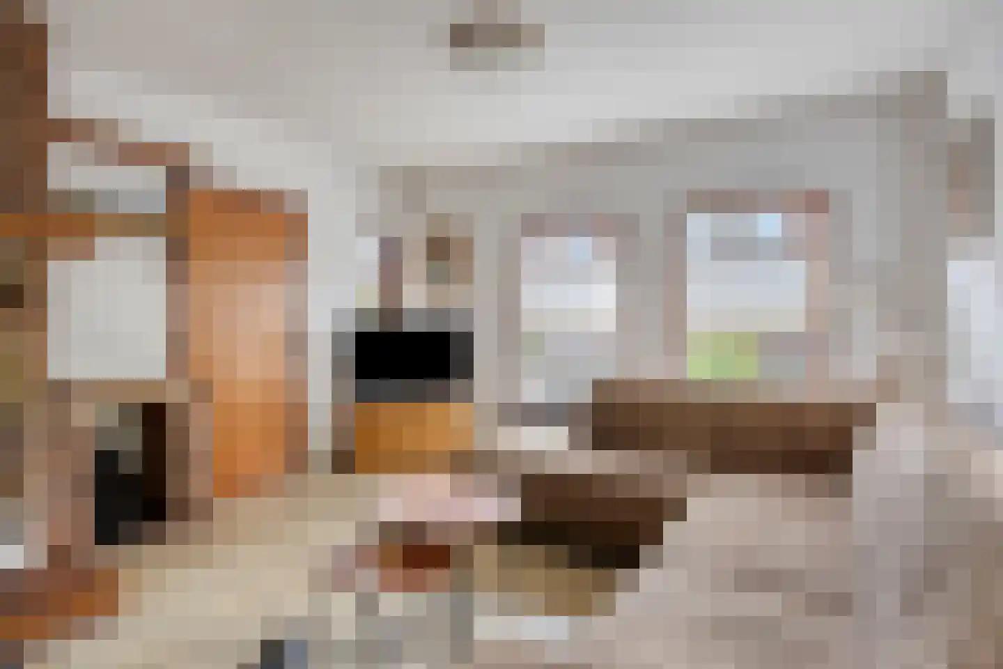 Dieterderweg 80 Susteren thumbnail 5