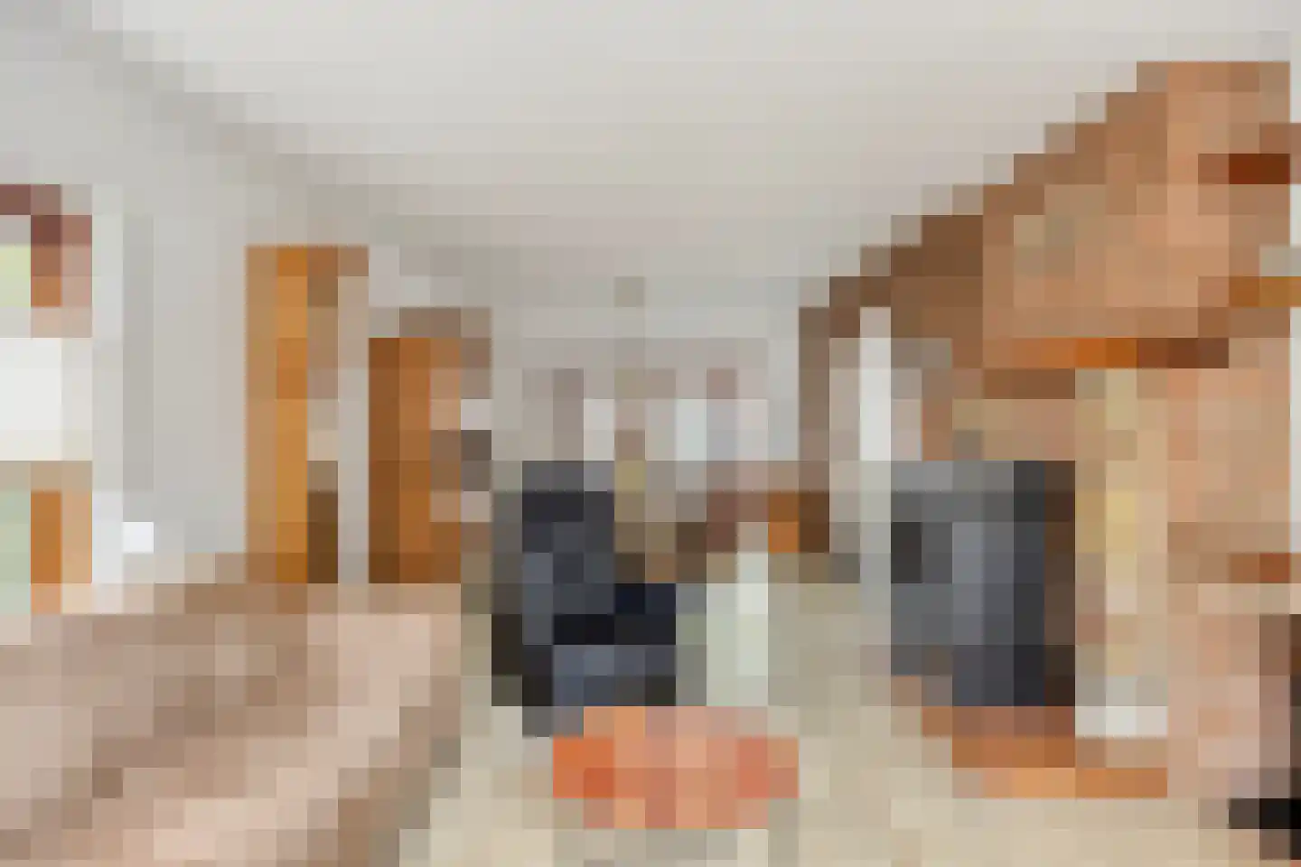 Dieterderweg 80 Susteren thumbnail 6