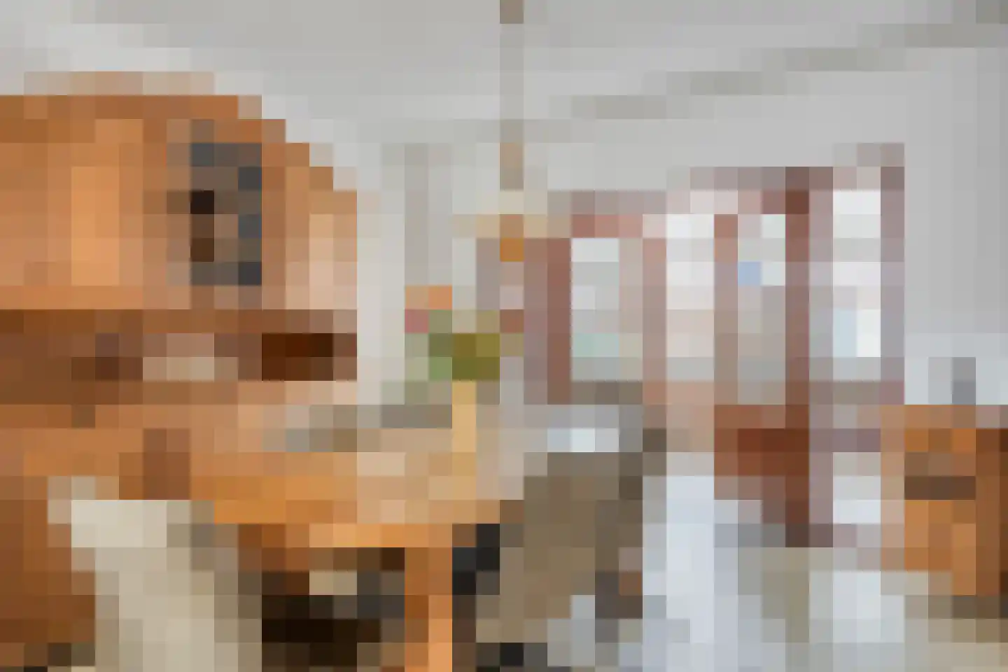 Dieterderweg 80 Susteren thumbnail 9