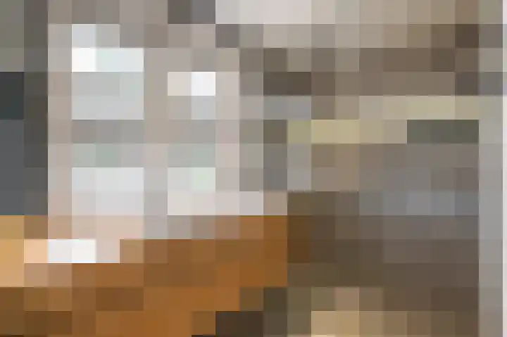 Dieterderweg 92 Susteren thumbnail 15