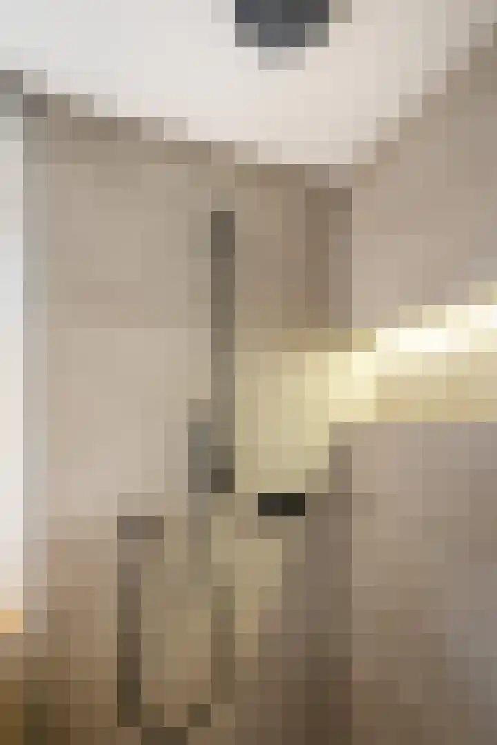 Dieterderweg 92 Susteren thumbnail 16