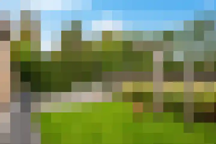 Dieterderweg 92 Susteren thumbnail 18