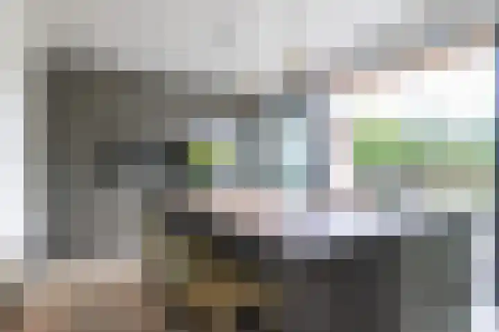 Dieterderweg 92 Susteren thumbnail 7