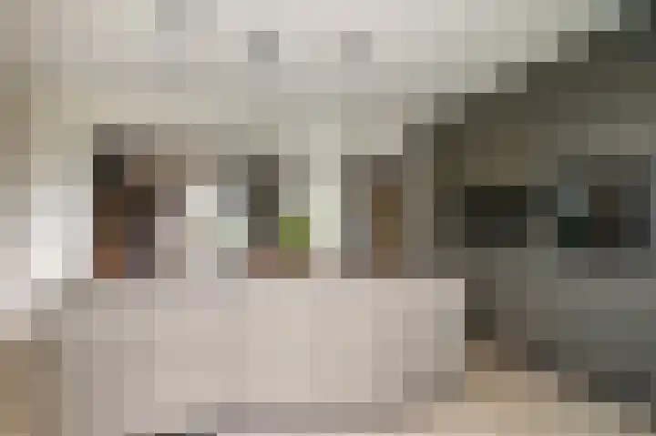 Dieterderweg 92 Susteren thumbnail 8