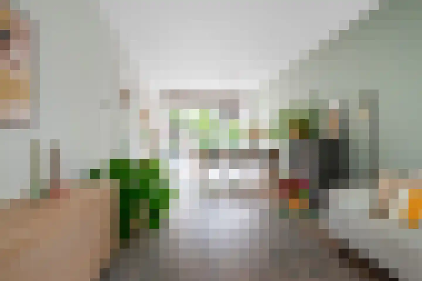 Dietsveld 36 Haarlem thumbnail 10