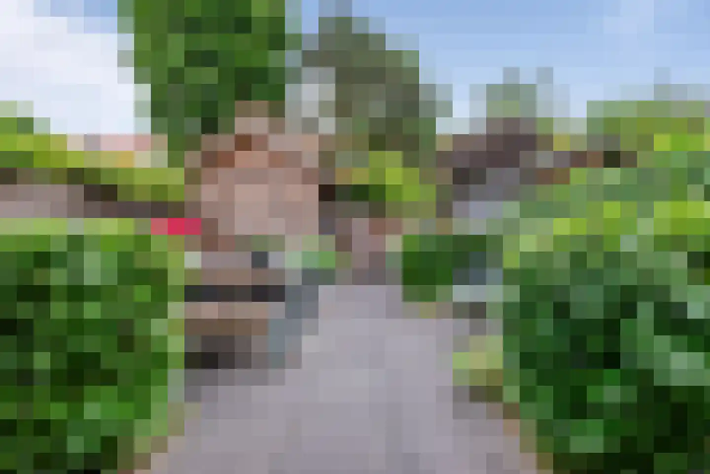 Dietsveld 36 Haarlem thumbnail 17