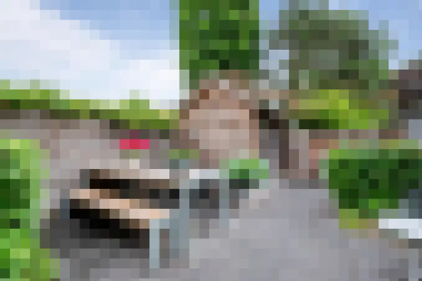 Dietsveld 36 Haarlem thumbnail 18