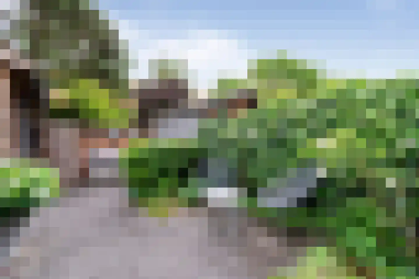 Dietsveld 36 Haarlem thumbnail 19