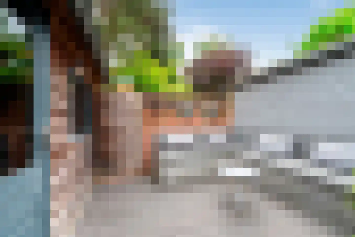 Dietsveld 36 Haarlem thumbnail 20