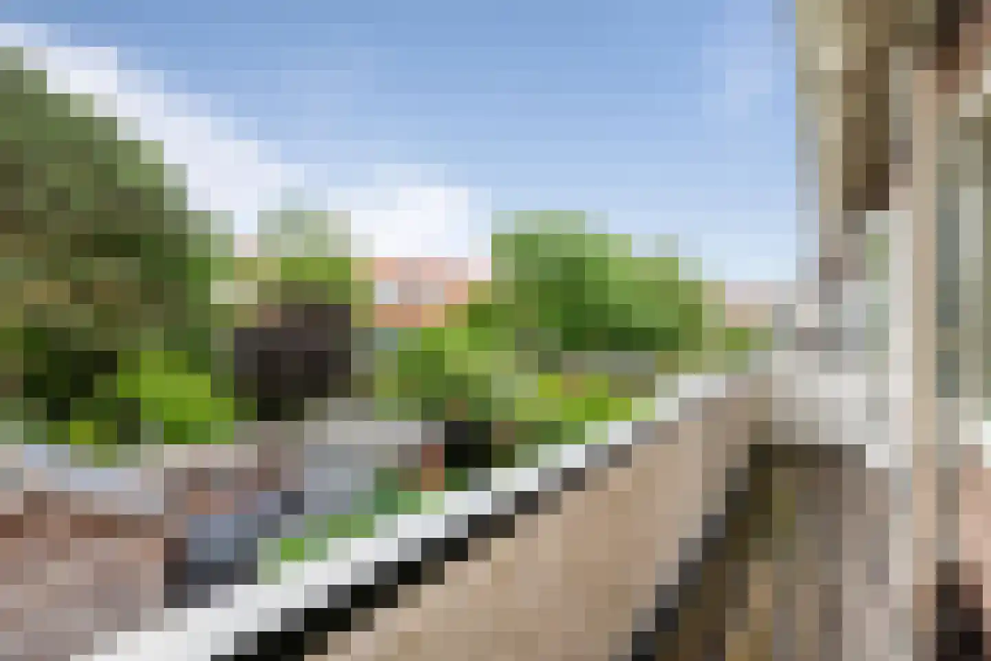 Dietsveld 36 Haarlem thumbnail 37