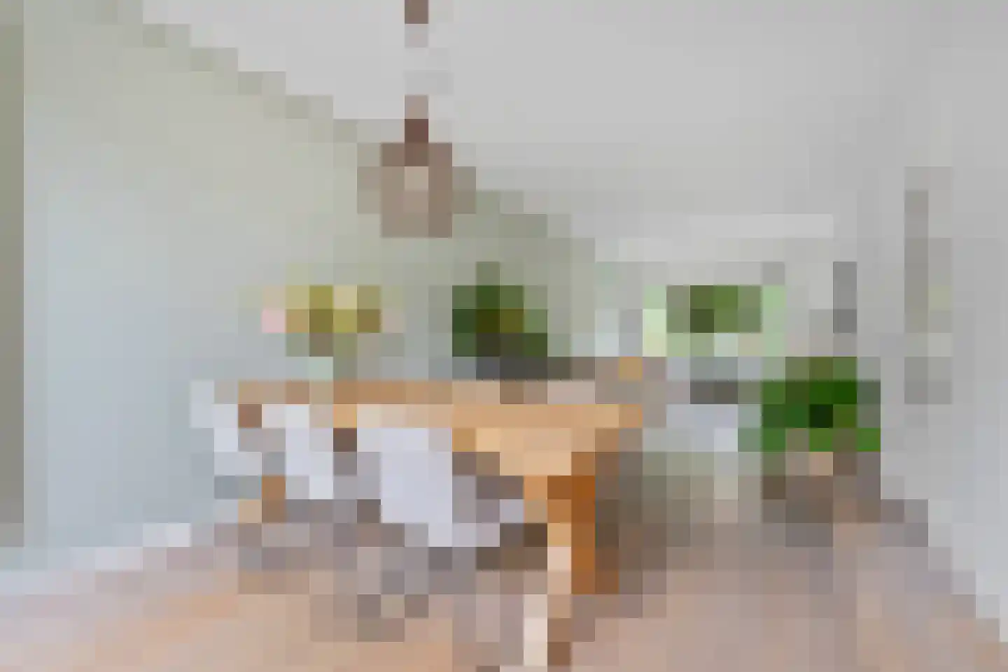 Dietsveld 36 Haarlem thumbnail 5