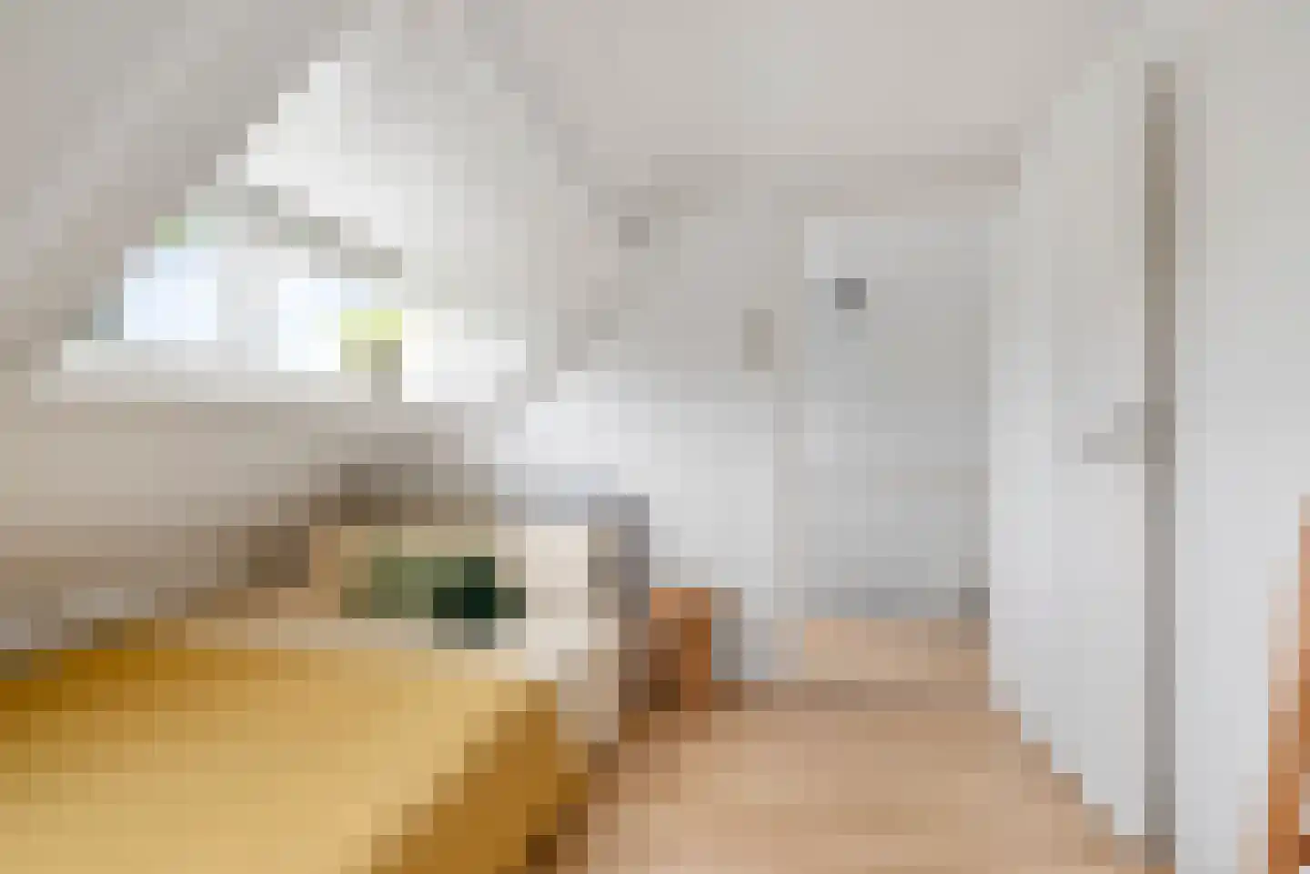 Dietsveld 36 Haarlem thumbnail 57