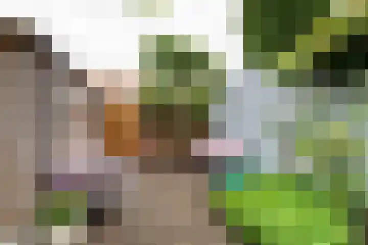 Dietsveld 39 Haarlem thumbnail 12