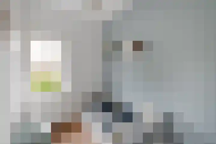 Dietsveld 39 Haarlem thumbnail 25