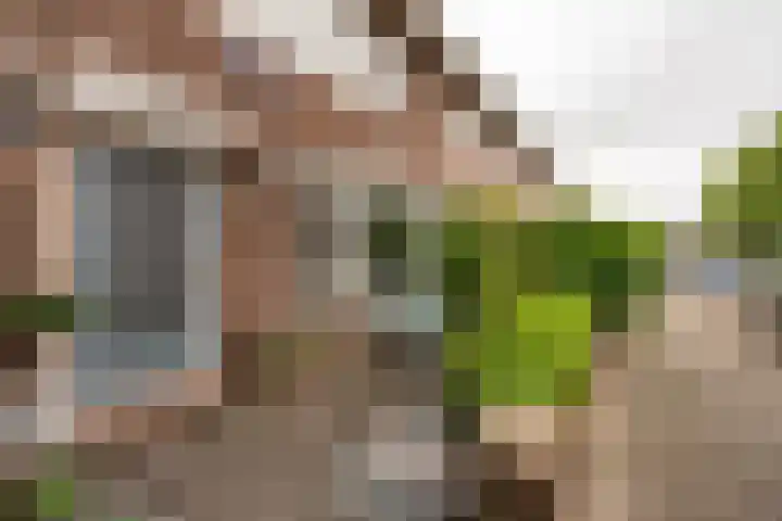 Dietsveld 39 Haarlem thumbnail 34