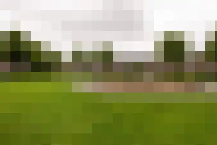 Dietsveld 39 Haarlem thumbnail 7