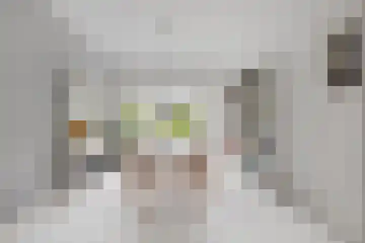 Dietsveld 39 Haarlem thumbnail 8