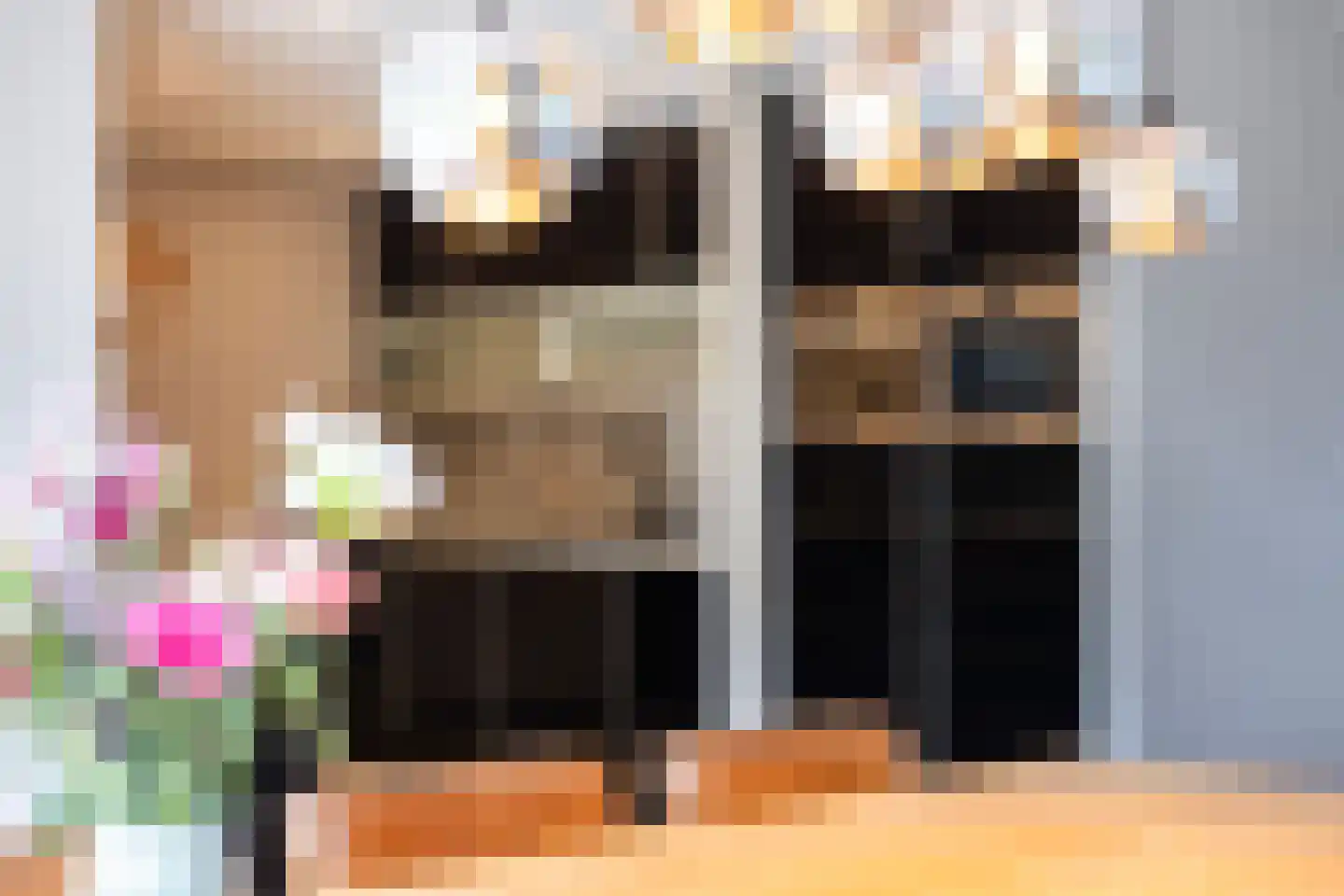 Dieuwert 9 Dokkum thumbnail 20