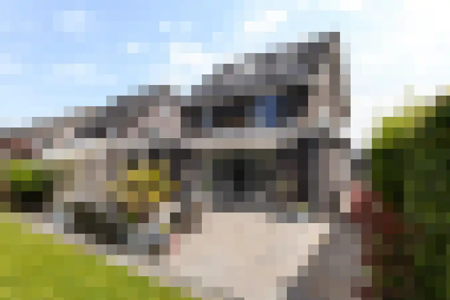 Dieuwert 9 Dokkum thumbnail 28