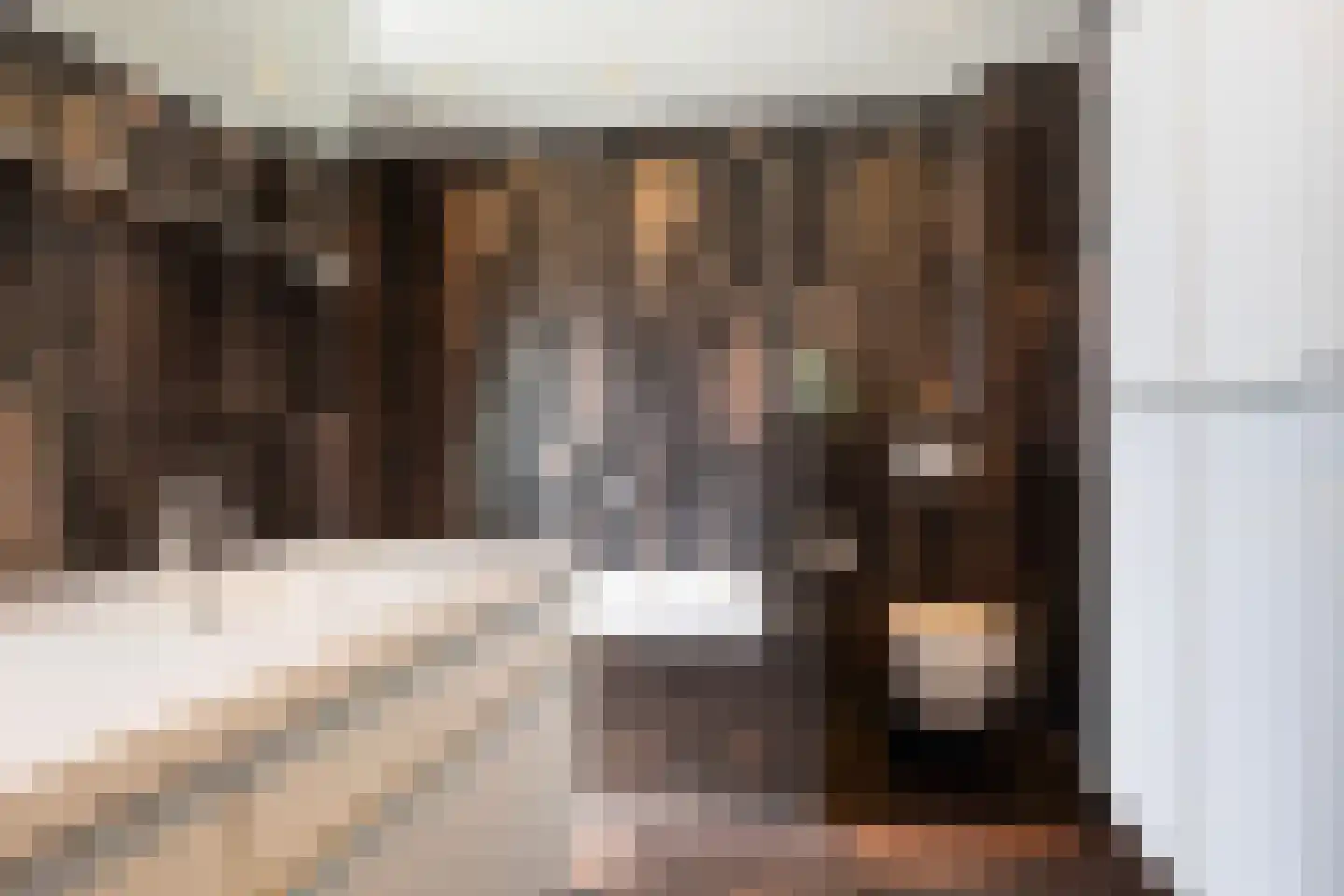 Dieuwert 9 Dokkum thumbnail 41
