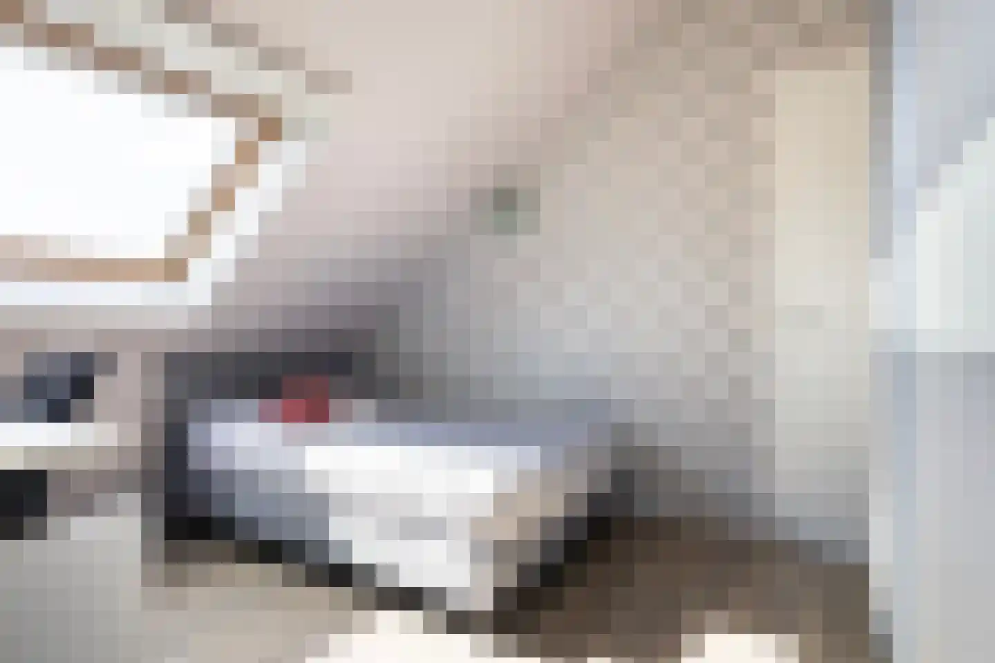 Dieuwert 9 Dokkum thumbnail 46